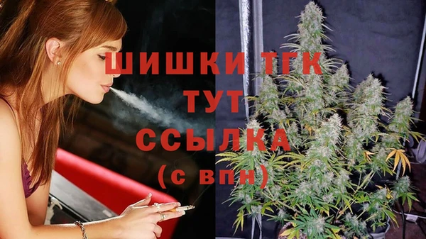 индика Горнозаводск