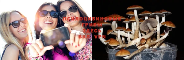 индика Горнозаводск