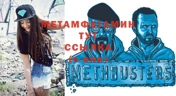 индика Горнозаводск