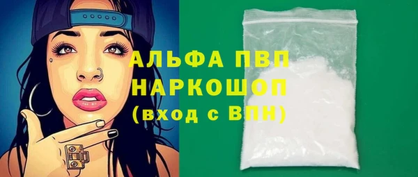 индика Горнозаводск
