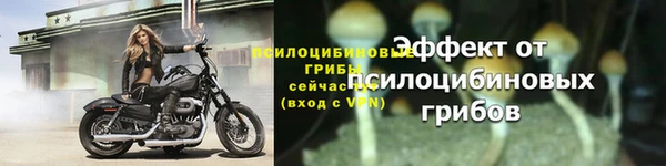 индика Горнозаводск