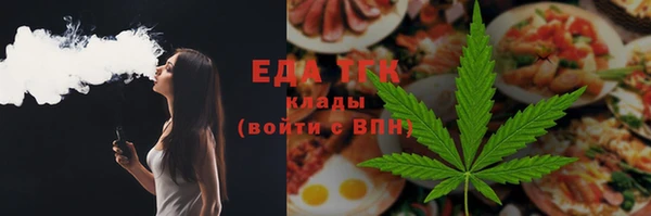 индика Горнозаводск