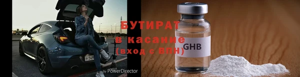 индика Горнозаводск