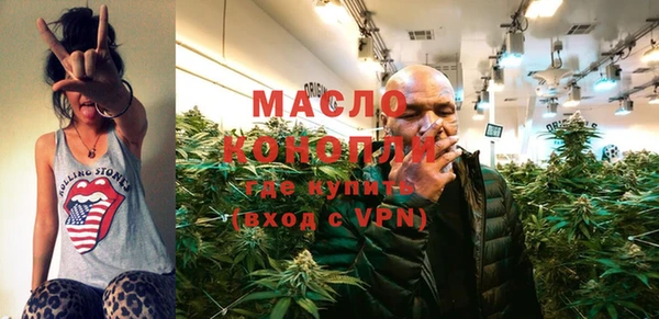 индика Горнозаводск