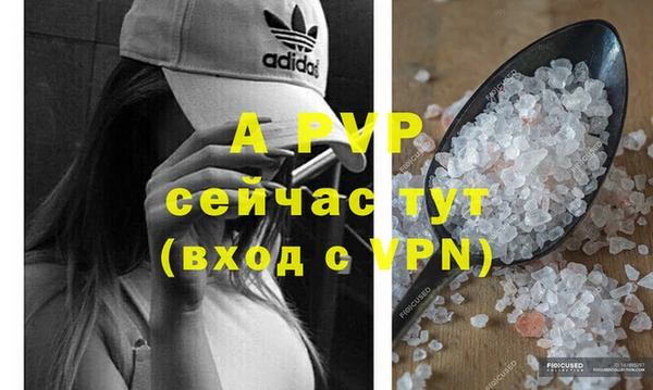 индика Горнозаводск