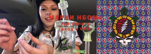 индика Горнозаводск